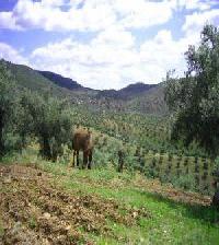 أفضل العروض ل  بوزوبلانكو